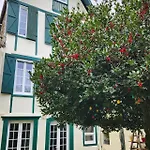 Le Grand Houx * Orthez