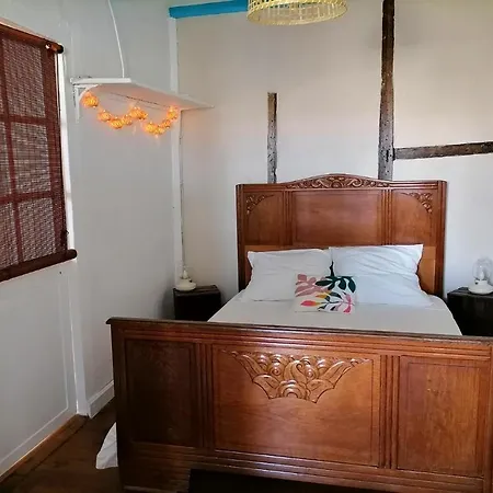 Le Grand Houx * Orthez