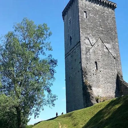 Le Grand Houx * Orthez