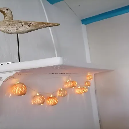 Le Grand Houx * Orthez