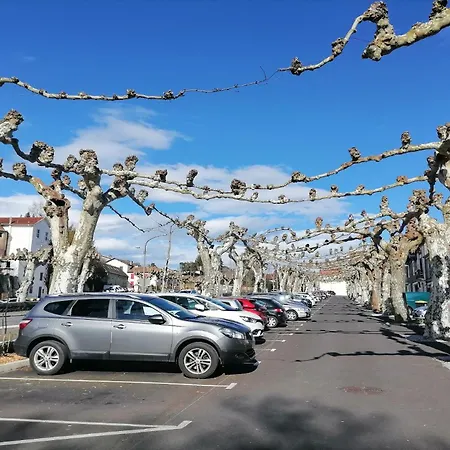 Apartamento Le Grand Houx