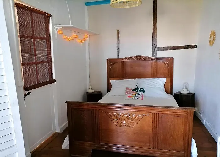 Le Grand Houx * Orthez