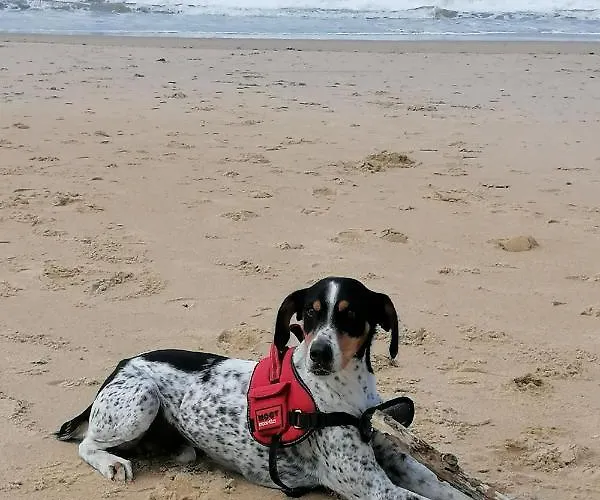 Le Grand Houx Apartamento