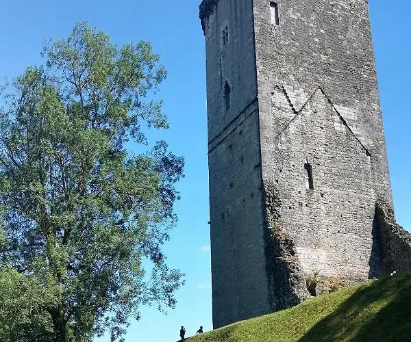 Le Grand Houx * Orthez