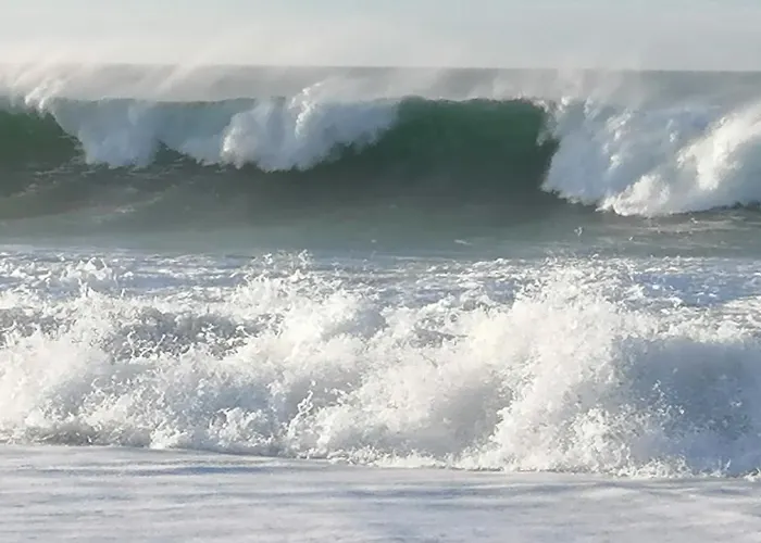 Le Grand Houx Orthez