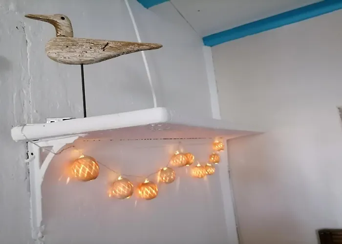 Le Grand Houx * Orthez