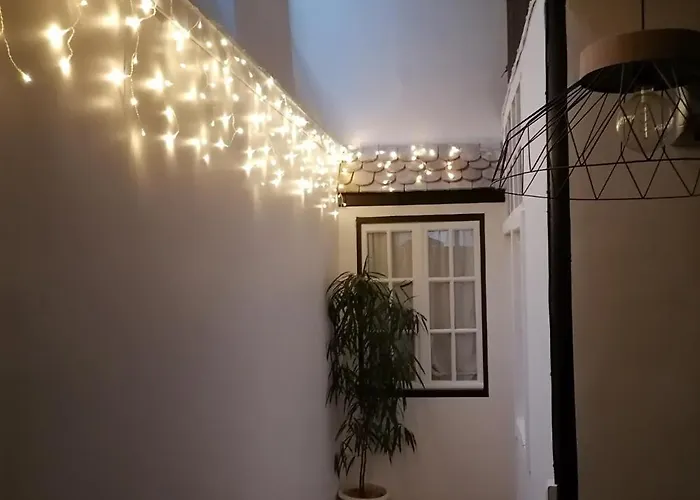 Le Grand Houx * Orthez