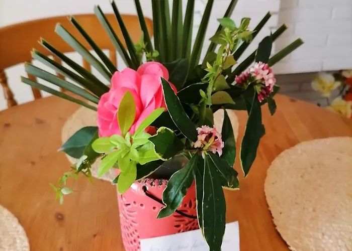 Le Grand Houx Appartement Orthez