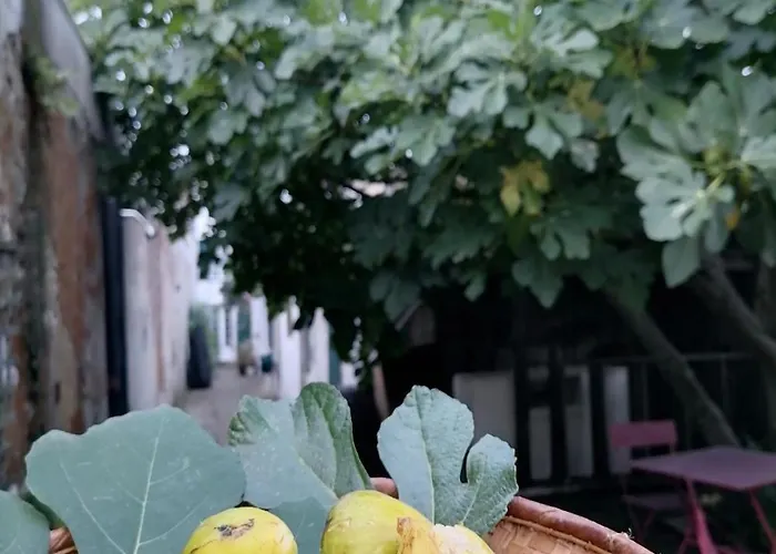 Apartamento Le Grand Houx