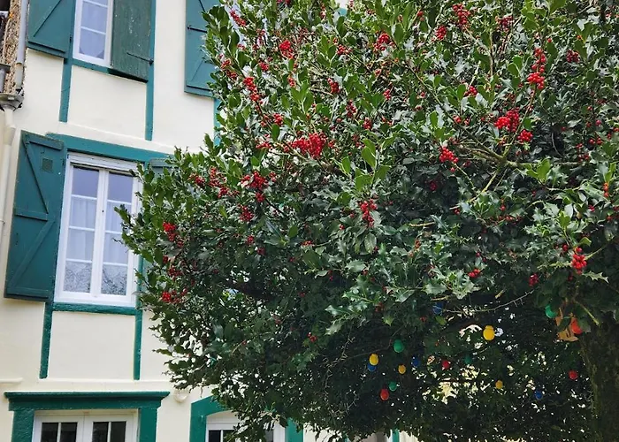 Le Grand Houx * Orthez